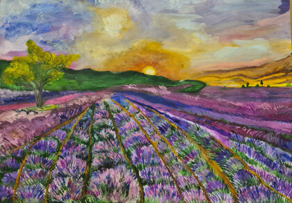 Лавандовое поле