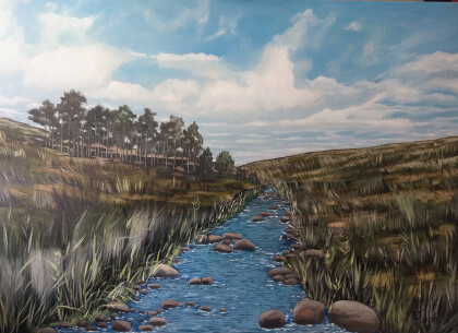 Редкий ручей