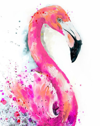 Розовый фламинго