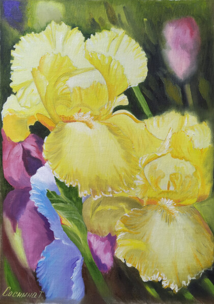 Желтые ирисы