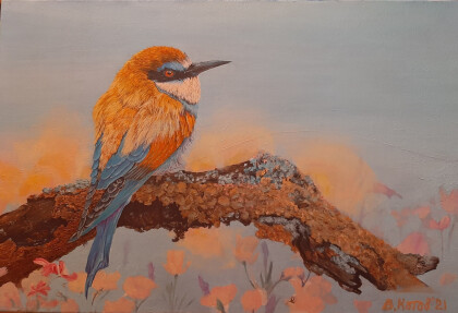 Золотистый щурок