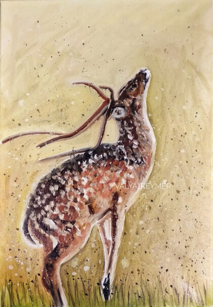 Предвкушение. Утренний олень