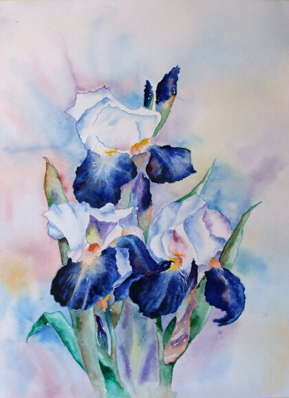 Выбор королевы