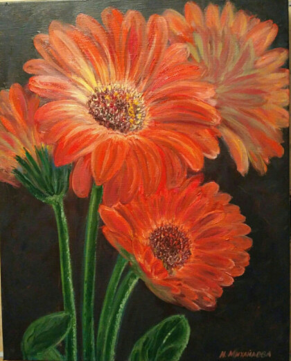 Красные герберы