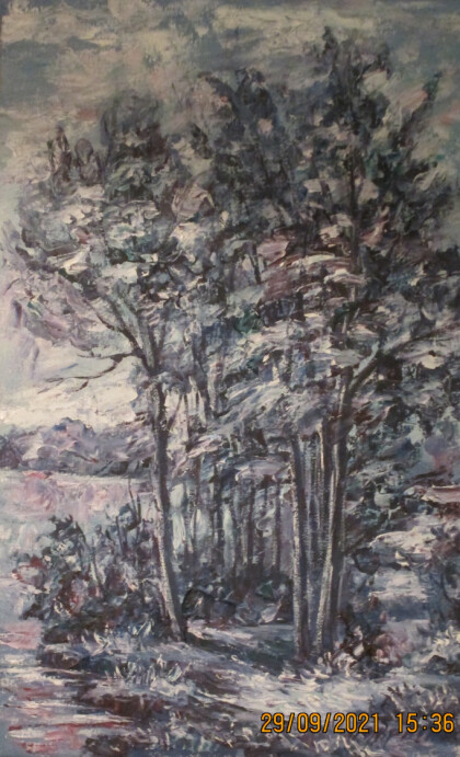 Тихое место