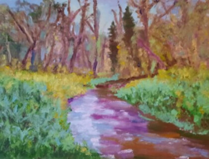 Лесной ручей