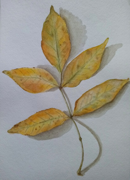 Осенний листик