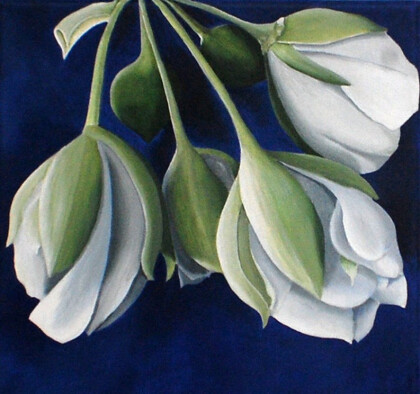 Белые цветы