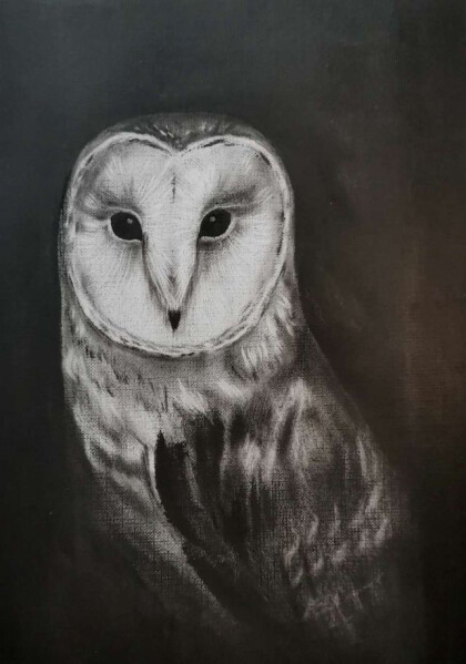 Анималистика, Птицы, Совы