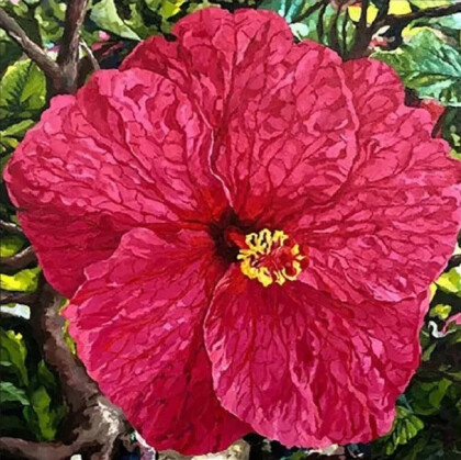 Большой красный цветок