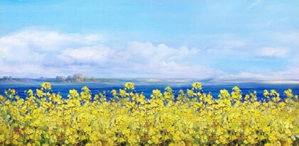 Солнечный день