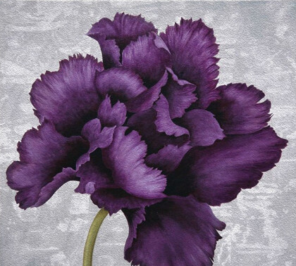 Фиолетовые цветы