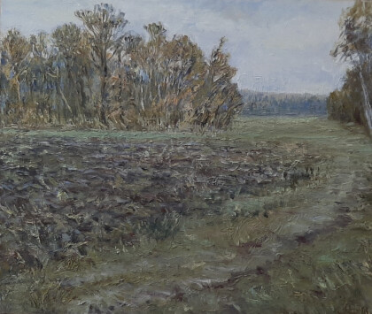 132- ноябрь. поле на Лысой горе.