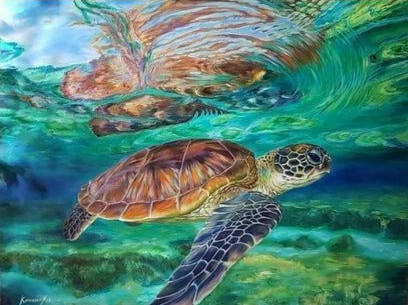 Анималистика, Животные, Черепахи