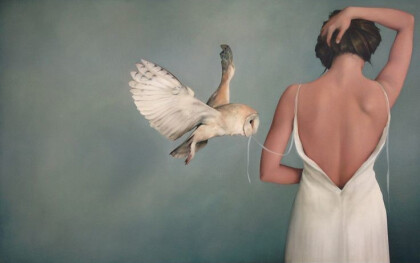 Анималистика, Птицы, Совы