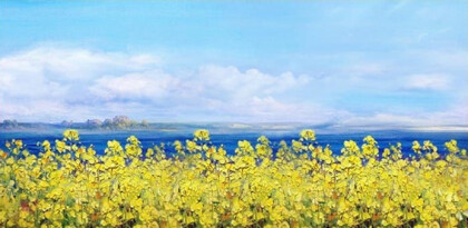 Полевые цветы