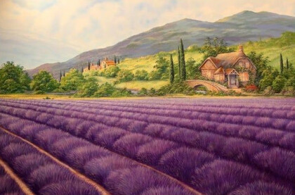 Лавандовое поле