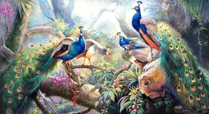 Анималистика, Птицы, Павлины