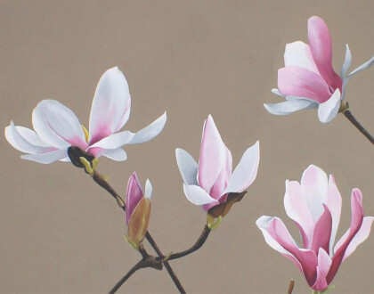 Нежные цветы