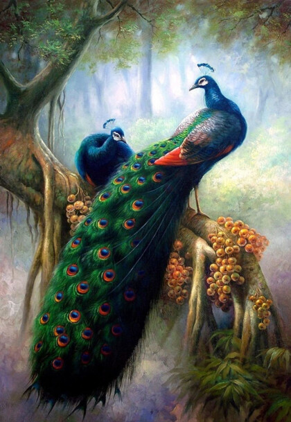 Анималистика, Птицы, Павлины