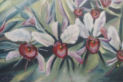 Орхидеи в саду