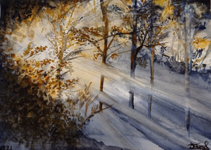 Лучи солнца в осеннем лесу