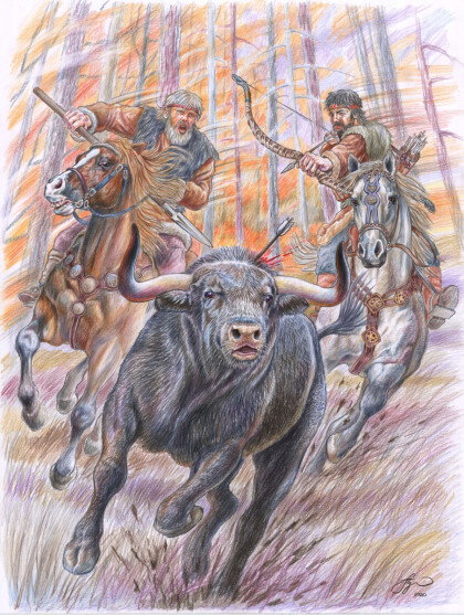 «Охота на тура»