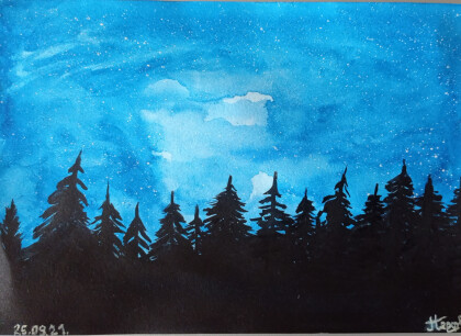 Ночь в лесу