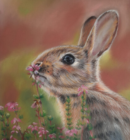 Зайка на лужайке