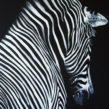 Анималистика, Животные, Зебры