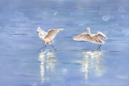 Анималистика, Птицы, Аисты