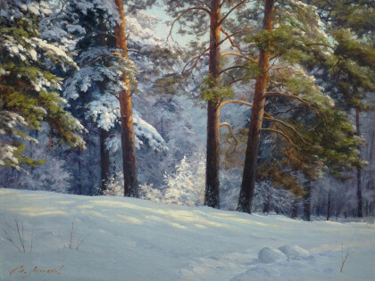 Зимние сосны