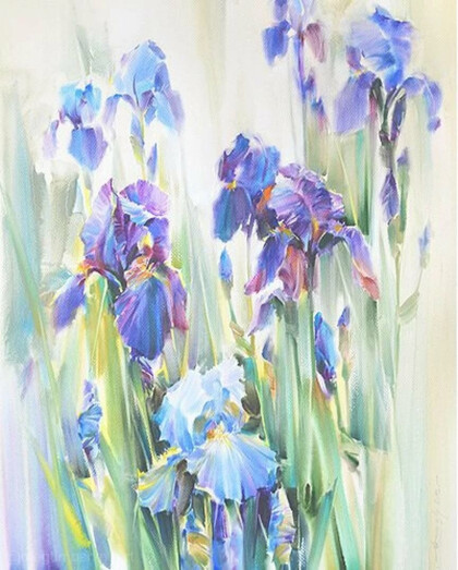 Ирисы