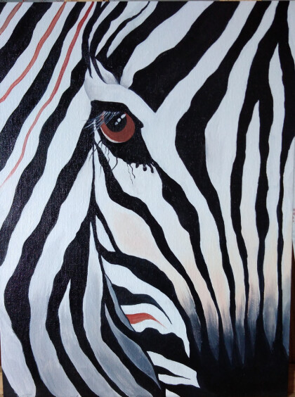 Зебра