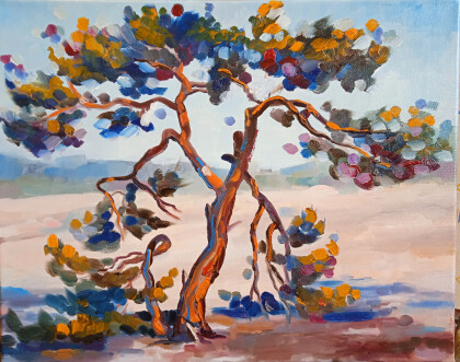 Солнечная сосна