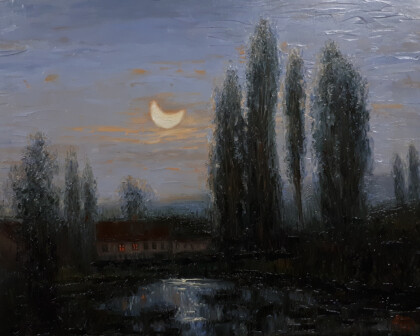 Украинская ночь