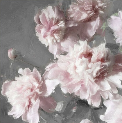 Нежно-Розовые пионы