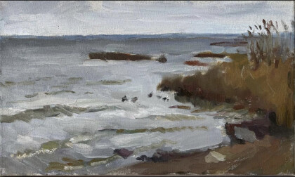 Финский залив