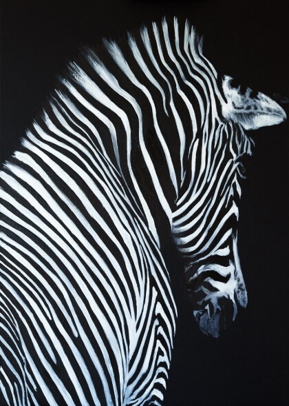 Анималистика, Животные, Зебры