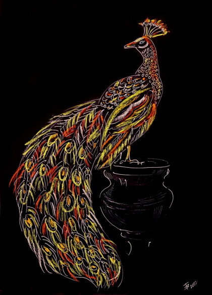 Золотой павлин