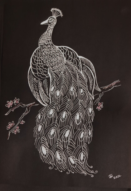 Белый павлин