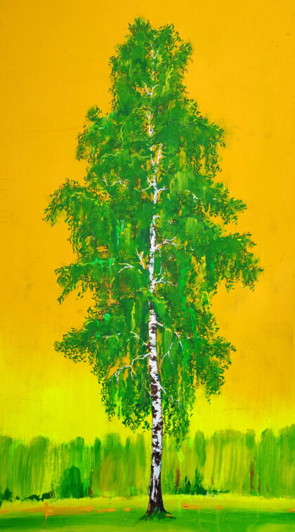 Берёза. Лето.