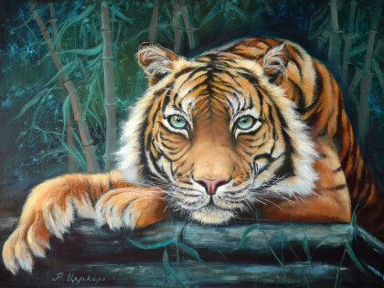 Амурский тигр