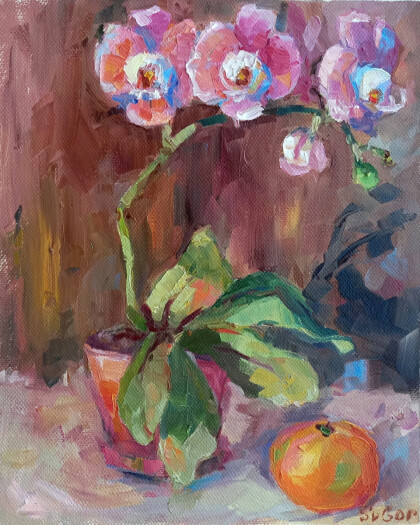 розовая орхидея