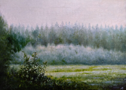 В России дожди