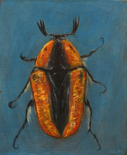 Хондропига. Мир насекомых