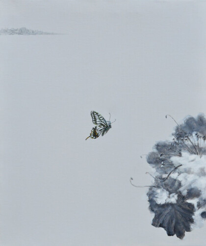 Полет бабочки