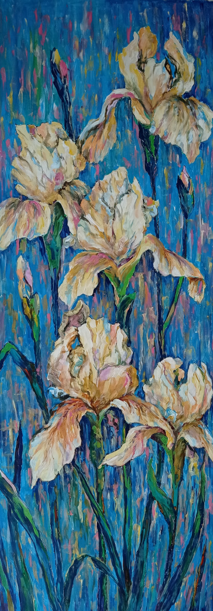 ирисы