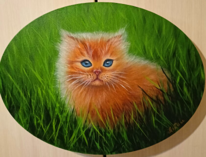 Рыжее солнышко