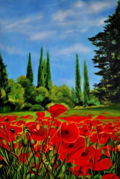 Маковое поле